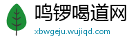 鸣锣喝道网